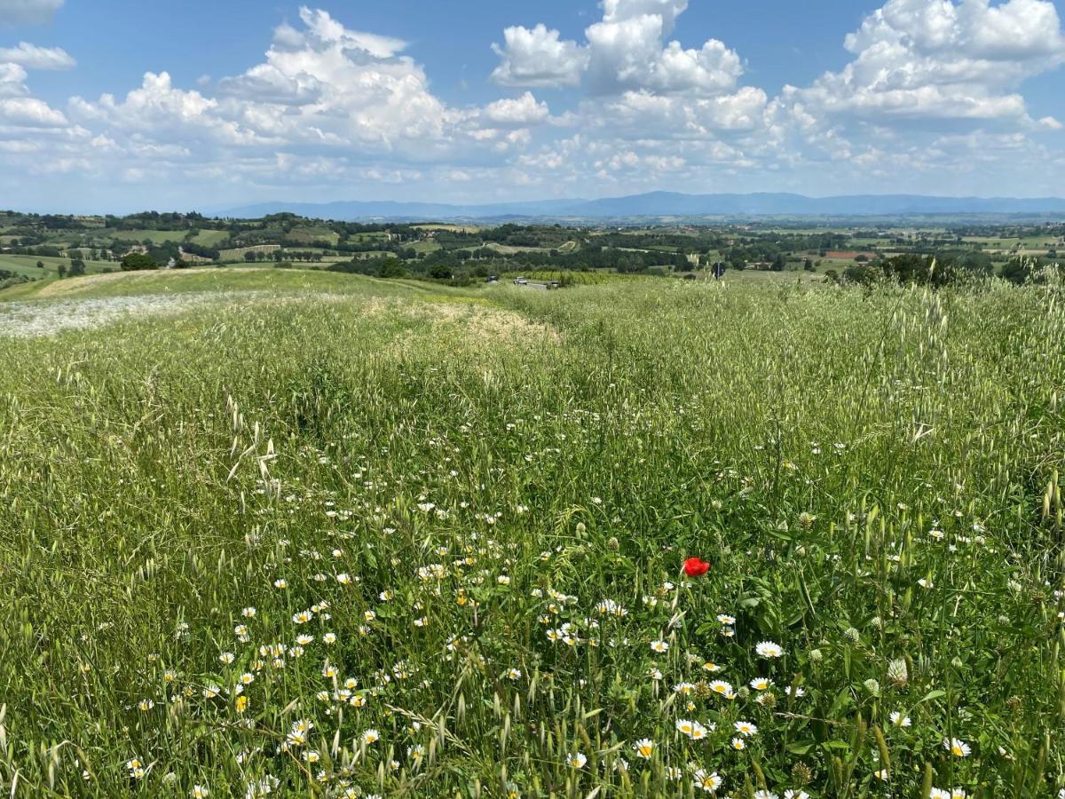 Agriturismo La Collina Сиена Екстериор снимка