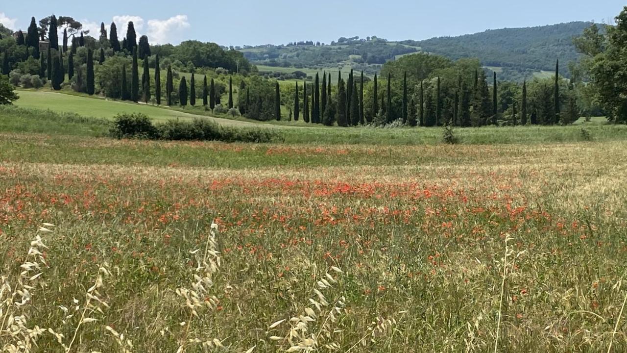 Agriturismo La Collina Сиена Екстериор снимка